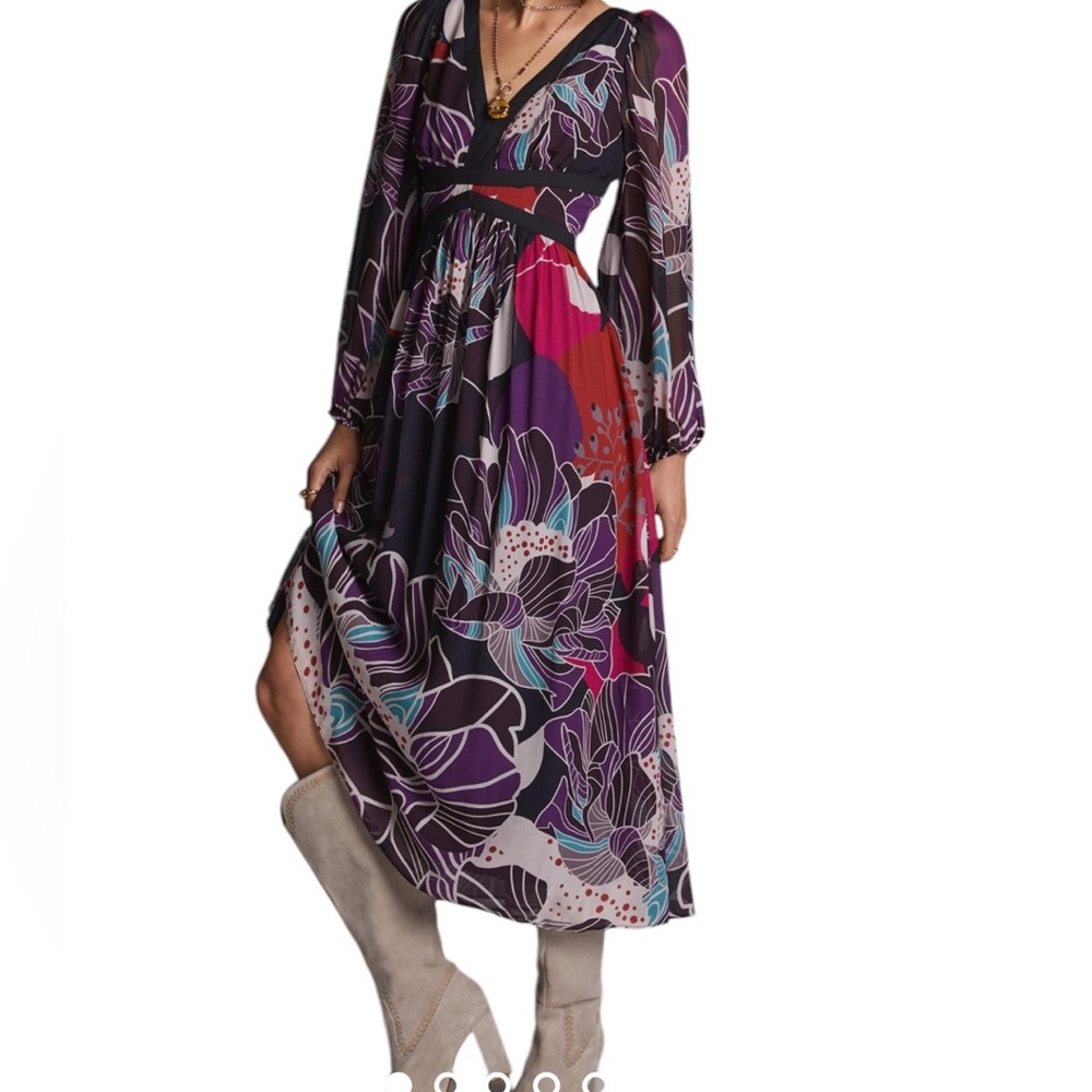 Anthropologie Let Me Be Dark Floral Mesh Midi Dress XSP